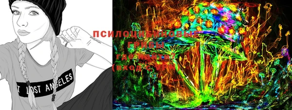 бошки Сосновоборск