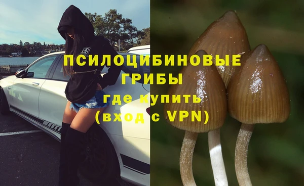 гидра Алзамай